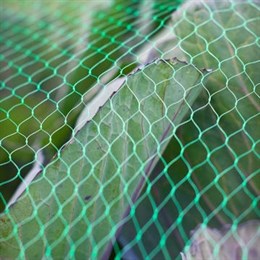 Netting