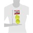 Kong AirDog Large Squeakair Tennis Balls (2 pack) (AST1) Alternative Image