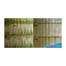 Wet and Forget - Moss Mould Lichen and Algae Remover (5 Litre)  Alternative Image