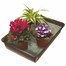 Gardman Capillary Matting Seed Tray Inserts (5 pack) (76001) Alternative Image