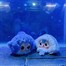 Baby Three Romantic Ocean Collectible Plush Blind Box Alternative Image