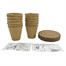 Bee Friends 4 in 1 Speedy Seed Boxed Chillies Grow Kit (032263) Alternative Image