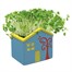 Bee Friends Paint Your Own House Pot & Grow Cress Set (340300) Alternative Image