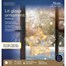 Kaemingk 20cm Clear Star LED Light Up Hanging Christmas Ornament (9480053) Alternative Image