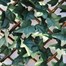 Mercer 100 x 200cm Ivy Leaf Willow Garden Trellis (YOJ-777) Alternative Image