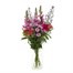 Pink and Lilac Letter Box Flowers Alternative Image