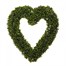 Smart Garden Boxwood Heart Totally Topiary (5045020) Alternative Image