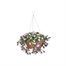 Smart Garden Petunias 30cm Artificial Hanging Basket (5611010) Alternative Image