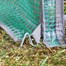 Smart Garden Tomato Gro-Zone (6510005) Alternative Image