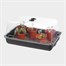 Stewart Garden 38cm Essentials Electric Propagator - Black (239030) Alternative Image