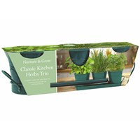 Bee Friends Trio of Herbs Classic Kitchen Gift Grow Set (151180)