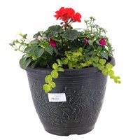 Linden Seasonal Bedding Planted Container 11 Inches - Summer