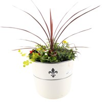 Milk Barrel Seasonal Bedding Planted Container 12 Inches - Summer
