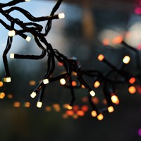 Portland Fir 1500 RGB Smart App Controlled LED Cluster Christmas String Lights (LIT006)