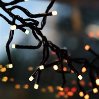 Portland Fir 500 RGB Smart App Controlled LED Cluster Christmas String Lights (LIT4)