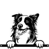 Primus Metal Collie Peeking Dog Garden Decor Silhouette (PF1017)