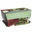 Bee Friends Nuture & Grow Indoor Bonsai Duo Grow Set (151150)