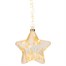Kaemingk 20cm Clear Star LED Light Up Hanging Christmas Ornament (9480053)