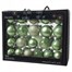 Kaemingk 42 Glass Christmas Tree Hanging Baubles - Matcha Green (9149295)
