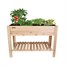 Panacea Cedar Elevated Garden Planter with liner and shelf (83356)