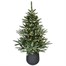 Portland Fir 1.2m (4ft) Shasta Fir Potted Pre Lit Artificial Christmas Tree (EB168C)