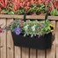 Smart Garden Black Fence & Balcony Hanging Planter 15cm (6030358HB)