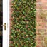 Smart Garden Lemon Leaf Willow Artificial Trellis Screening 180 x 60 cm (5045082)