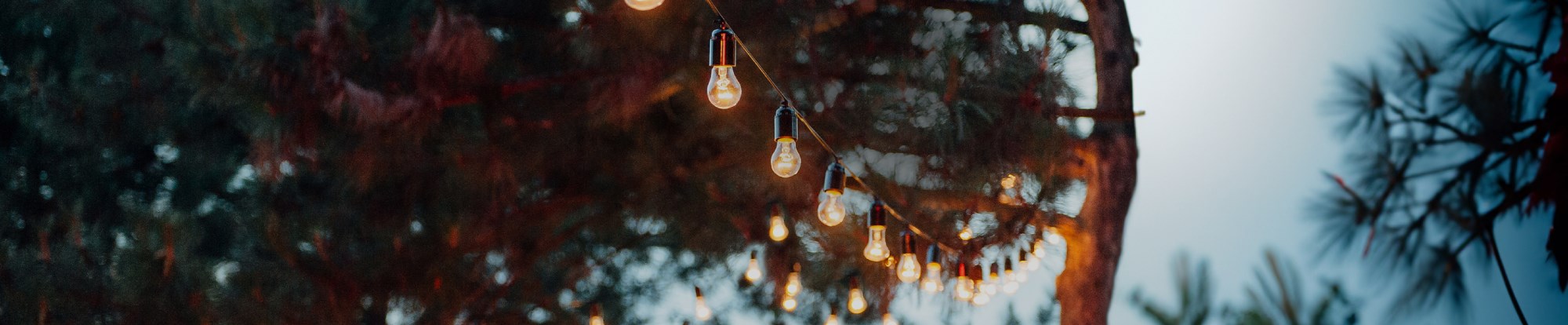 Garden Lighting